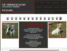 Tablet Screenshot of lilsidekickjacks.com